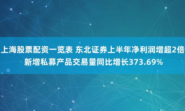 上海股票配资一览表 东北证券上半年净利润增超2倍 新增私募产品交易量同比增长373.69%