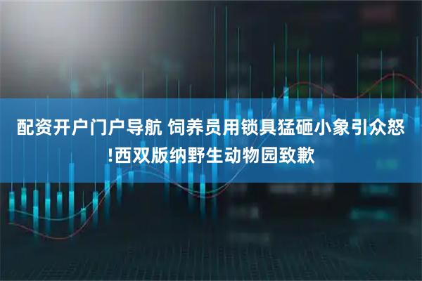 配资开户门户导航 饲养员用锁具猛砸小象引众怒!西双版纳野生动物园致歉