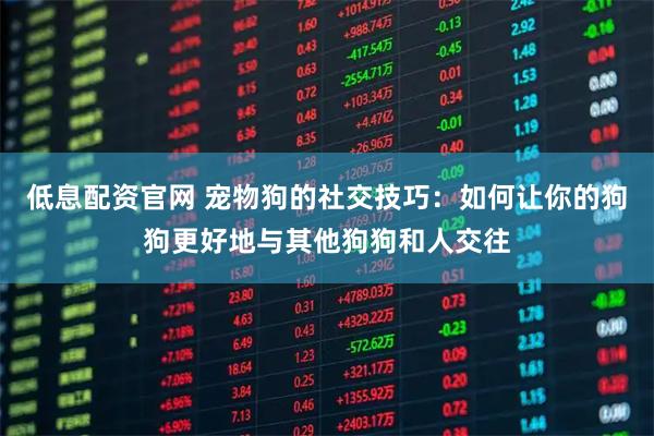 低息配资官网 宠物狗的社交技巧：如何让你的狗狗更好地与其他狗狗和人交往