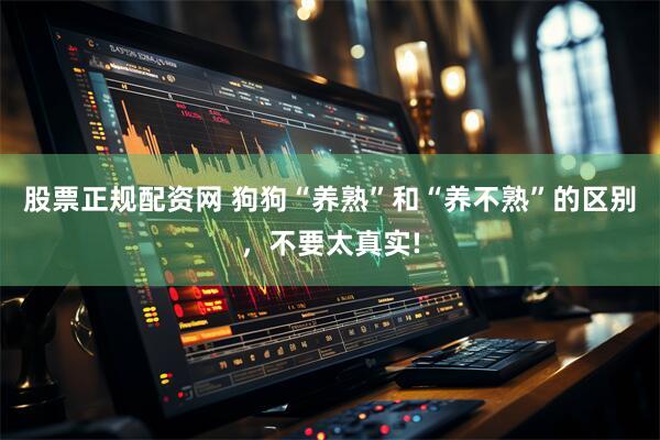 股票正规配资网 狗狗“养熟”和“养不熟”的区别，不要太真实!